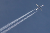 G-LCYS